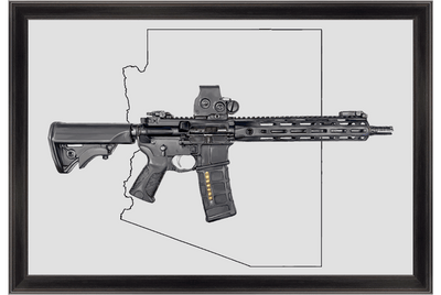 Defending Freedom - Arizona- AR-15 State Painting (Minimal)