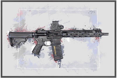 Defending Freedom - Colorado - AR-15 State Painting