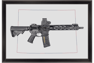 Defending Freedom - Colorado - AR-15 State Painting (Minimal)