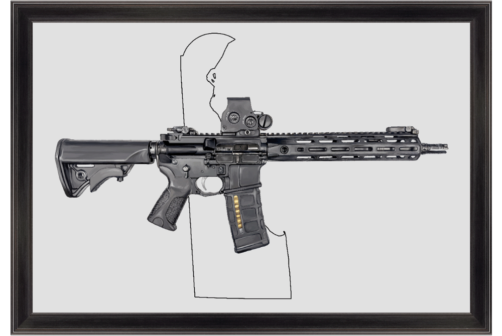 Defending Freedom - Delaware - AR-15 State Painting (Minimal)