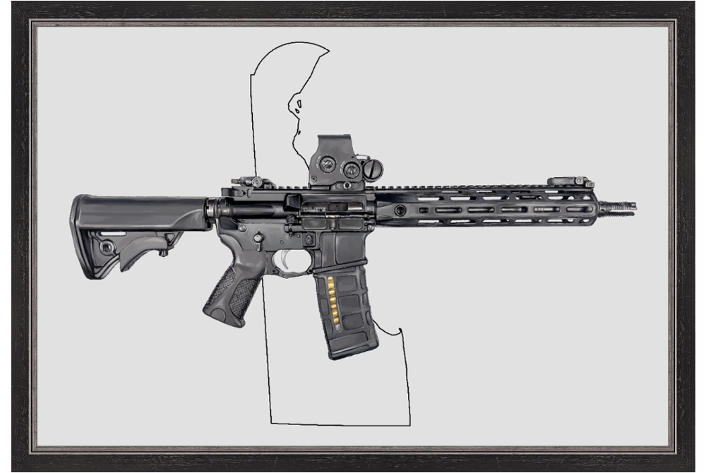 Defending Freedom - Delaware - AR-15 State Painting (Minimal)