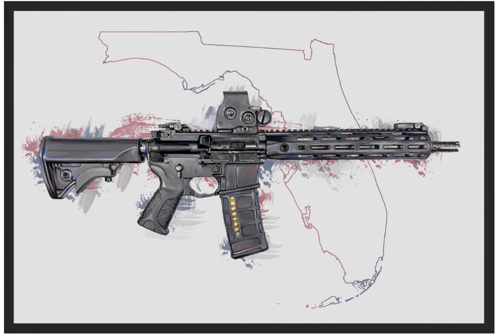 Defending Freedom - Florida - AR-15 State Painting