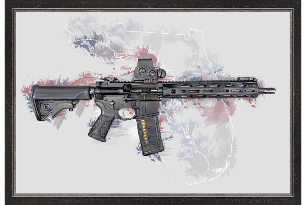 Defending Freedom - Florida - AR-15 State Painting