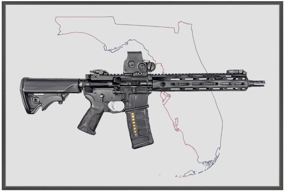 Defending Freedom - Florida - AR-15 State Painting (Minimal)