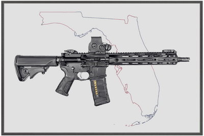 Defending Freedom - Florida - AR-15 State Painting (Minimal)