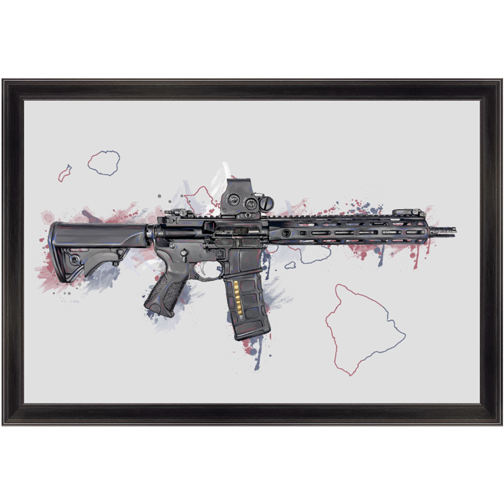 Defending Freedom - Hawaii - AR-15 State Painting