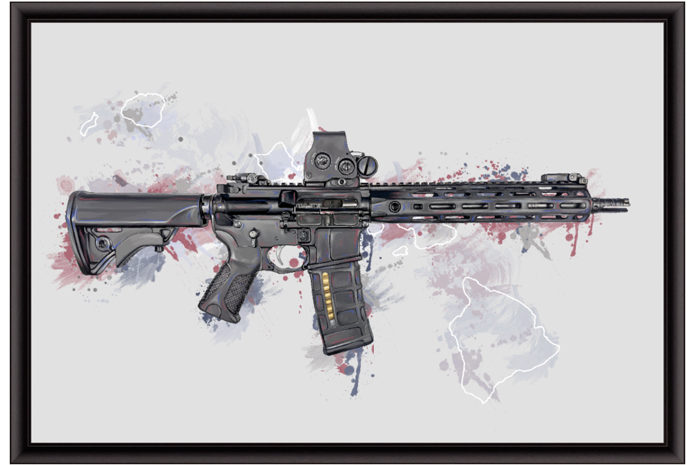 Defending Freedom - Hawaii - AR-15 State Painting