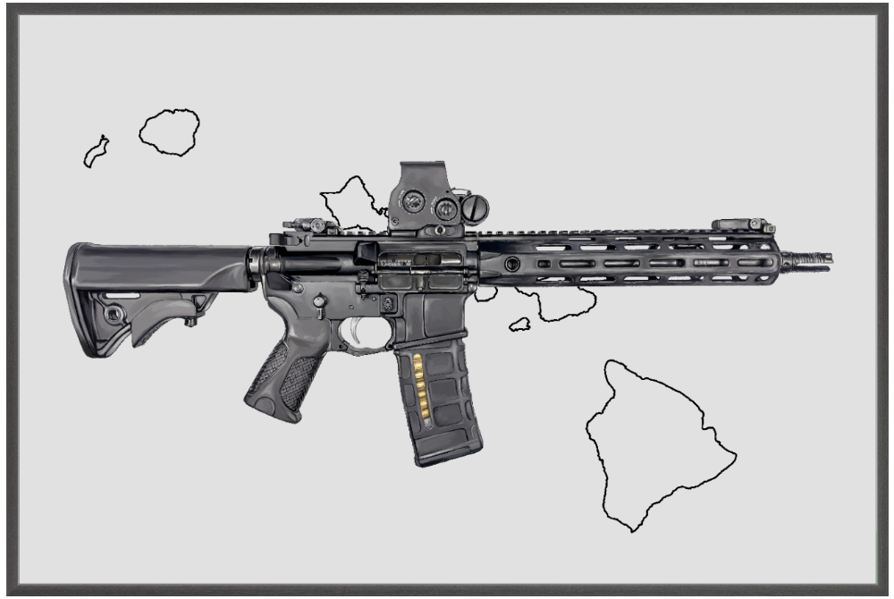 Defending Freedom - Hawaii - AR-15 State Painting (Minimal)