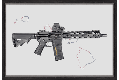 Defending Freedom - Hawaii - AR-15 State Painting (Minimal)