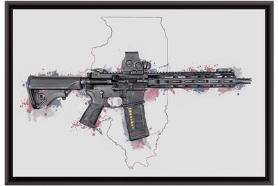 Defending Freedom - Illinois - AR-15 State Painting