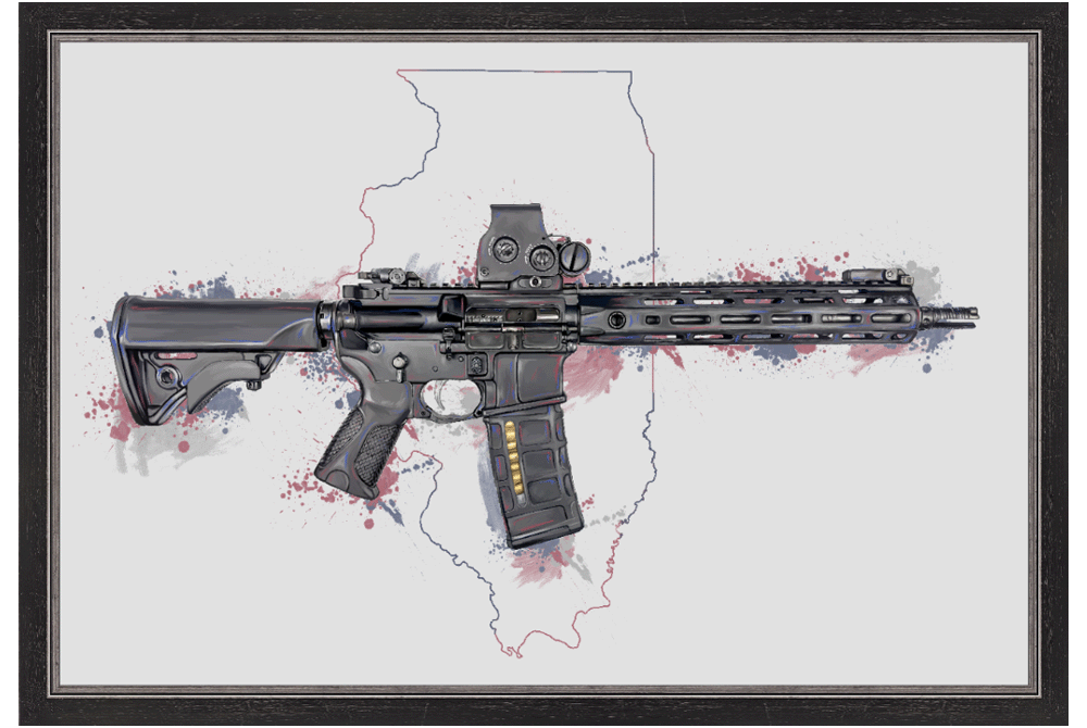 Defending Freedom - Illinois - AR-15 State Painting