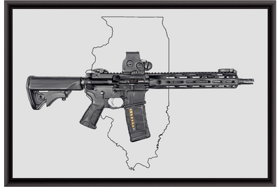 Defending Freedom - Illinois - AR-15 State Painting (Minimal)
