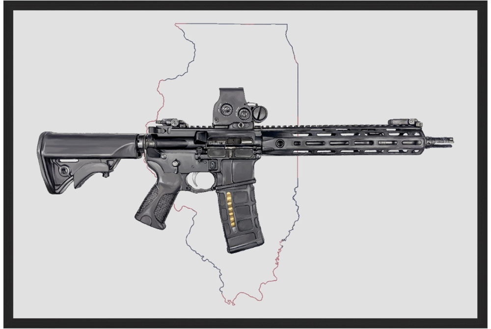 Defending Freedom - Illinois - AR-15 State Painting (Minimal)