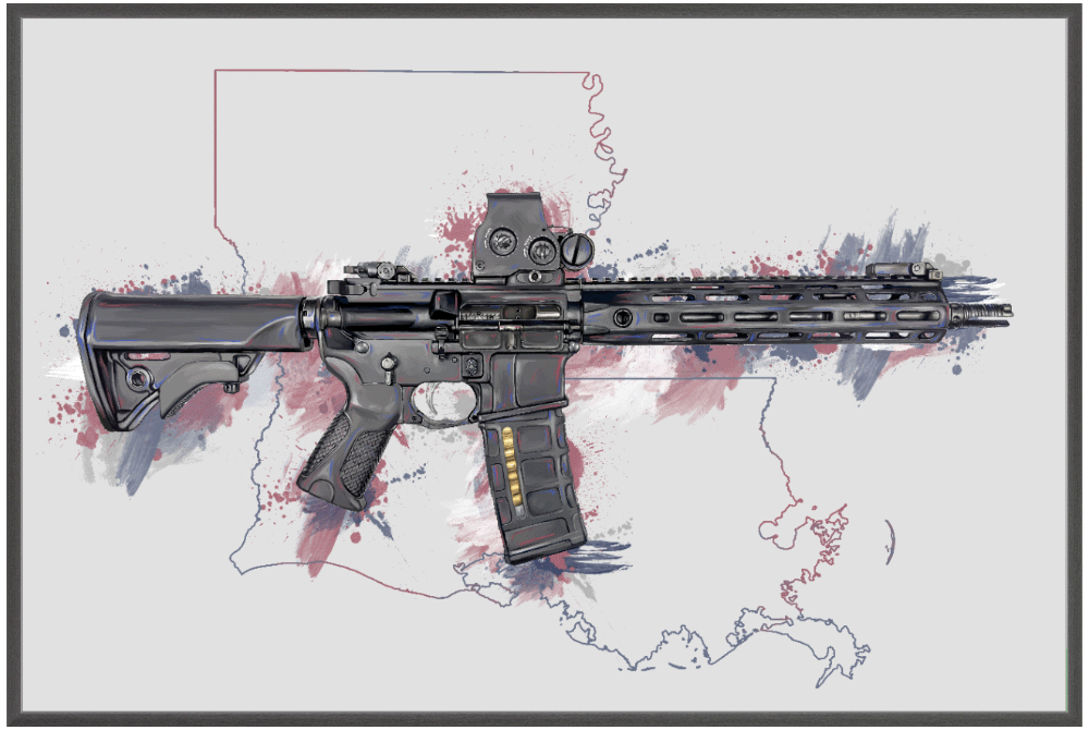 Defending Freedom - Louisiana - AR-15 State Painting