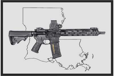 Defending Freedom - Louisiana - AR-15 State Painting (Minimal)