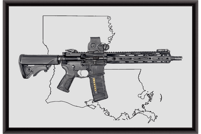 Defending Freedom - Louisiana - AR-15 State Painting (Minimal)