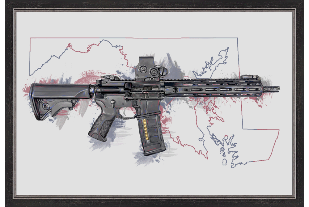 Defending Freedom - Maryland - AR-15 State Painting