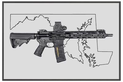 Defending Freedom - Maryland - AR-15 State Painting (Minimal)