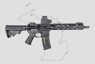 Defending Freedom - Michigan - AR-15 State Painting (Minimal)