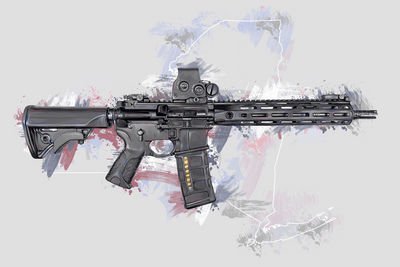Defending Freedom - New York - AR-15 State Painting