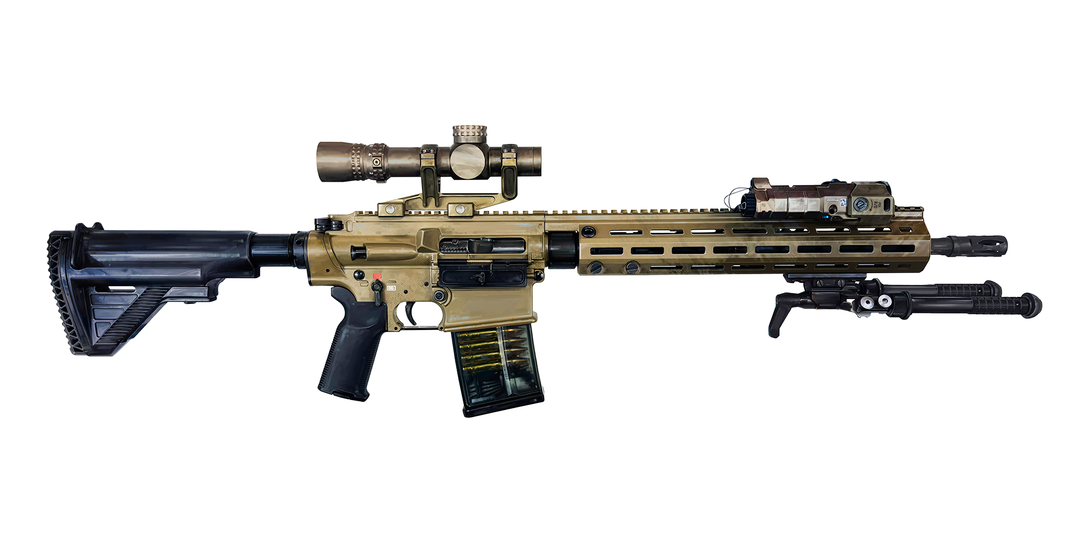 German 7.62x51mm AR10 Battle Rifle Painting - Just The Piece – Gun Art