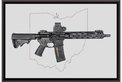 Defending Freedom - Ohio - AR-15 State Painting (Minimal)