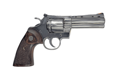 Wood & Stainless .357 Magnum Revolver Painting - Just The Piece