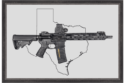 Defending Freedom - Texas - AR-15 State Painting (Minimal)