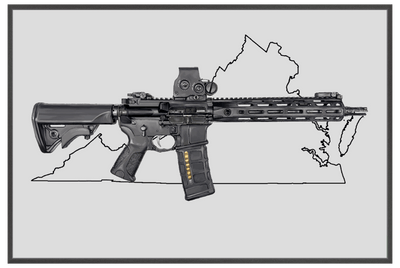 Defending Freedom - Virginia - AR-15 State Painting (Minimal)