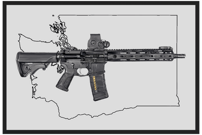 Defending Freedom - Washington - AR-15 State Painting (Minimal)