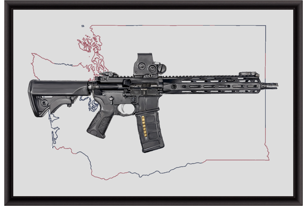 Defending Freedom - Washington - AR-15 State Painting (Minimal)